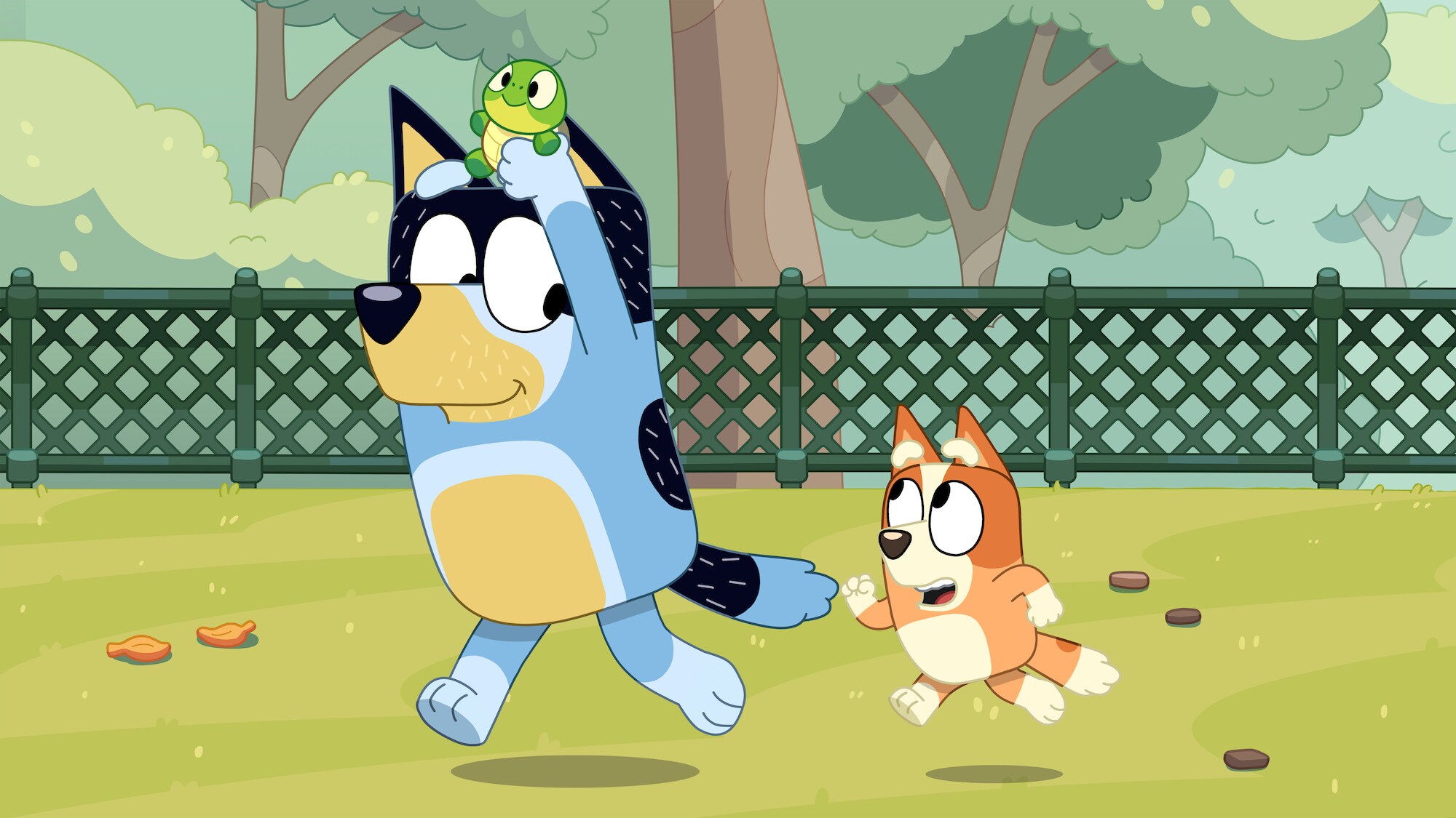 Dad and Bingo run around and have fun with Turtleboy! (Credit: Ludo Studio)
